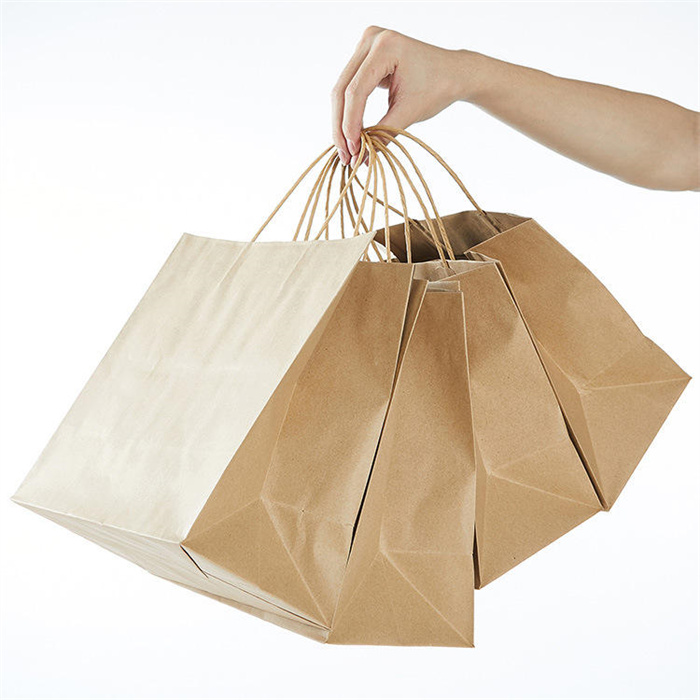 Handle Brown Paper Bags