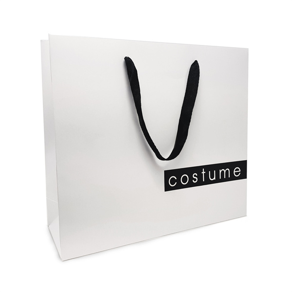 Authentic Céline paper bag